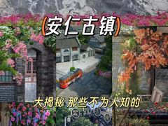 -安仁古镇