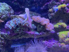 -石林冰雪海洋世界