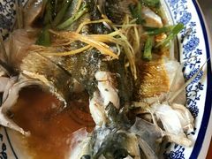 清蒸白水鱼-洞天食府(北大街店)