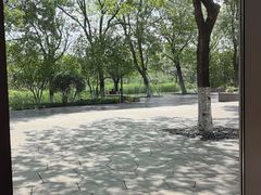 -阳澄湖费尔蒙酒店颐丰阁中餐厅(马鞍山西路店)