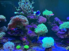 -海合安成都极地海洋公园