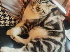 -咖法森林·咖啡  酒吧(天河店)