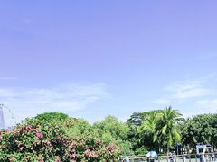 -深圳湾公园(南山区)