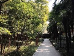 -徐家汇源景区-衡山公园