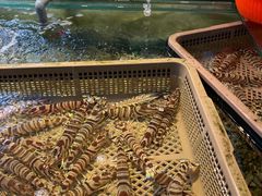 -海九澎湖海鲜餐厅