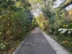 -华侨城湿地公园