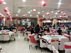 -金龙寨(龙城路店)