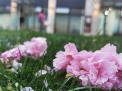 -卓橙广告(三湘商业广场店)