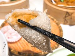 -点都德·毕德寮
