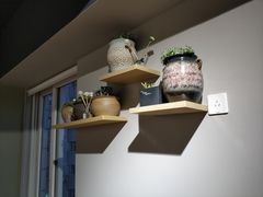 -东方名猫馆·英短金渐层布偶猫舍(环线广场1号楼店)