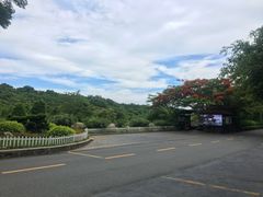 -亚龙湾热带天堂森林公园