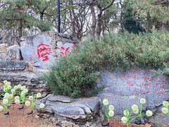 -玲珑塔公园