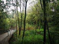 -西湖风景区-江洋畈生态公园