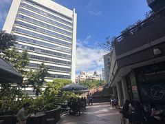 -香港大学