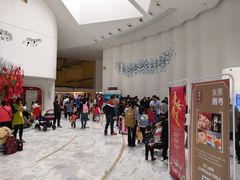 -深圳东部华侨城瀑布酒店