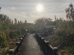 -梁鸿国家湿地公园