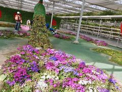 -兴芮温泉度假区