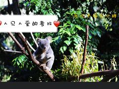 -可伦宾野生动物保护区