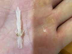 -老字号怡玺·藿香雅鱼(20年雅安店)