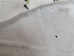 -汉堡王(歌斐中心店)