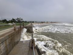-日照海滨国家森林公园