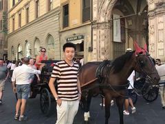 -圣母百花大教堂穹顶