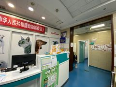 -美联众合动物医院·24h转诊中心