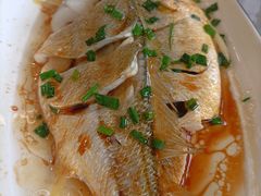 -妈妈菜舟山海鲜(定海古城店)