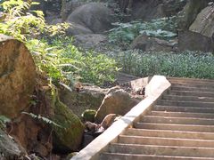 -火炉山森林公园