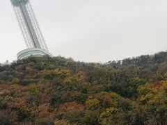 -富斯特索道