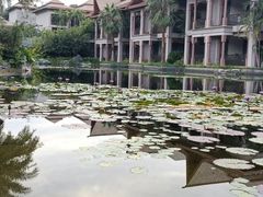-广州从化都喜泰丽度假酒店温泉