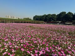 -新地休闲农场