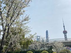 -北外滩滨江绿地