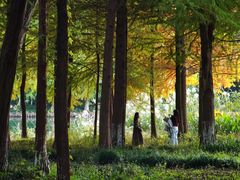 -西溪天堂·悦居