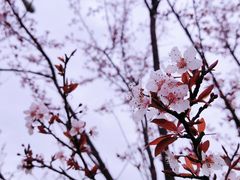 -温州龙湾国际机场