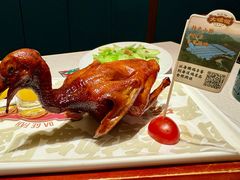 爆汁红烧鸽皇-大鸽饭(岗顶店)