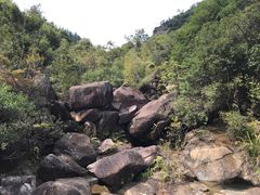 -广州白江湖森林公园