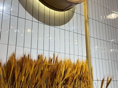 -嘉州北味春老烧麦·面食(叮咚街店)