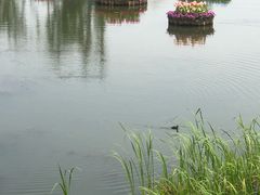 -南通鲜花小镇