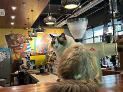 -咖法森林·咖啡  酒吧(天河店)