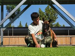 -北京京卫宠物寄养训练中心