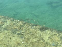 -三亚西岛海洋文化旅游区