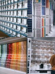 -THE COLORIST调色师