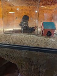 -酷嗒动物文化乐园(cutezoo西溪乐天城店)