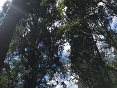 -雁荡山风景名胜区