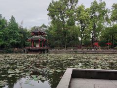 -房湖公园