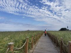 -黑龙江扎龙生态旅游区