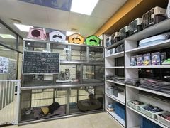 -动物缘宠物医院·骨科·猫科(西二环店)