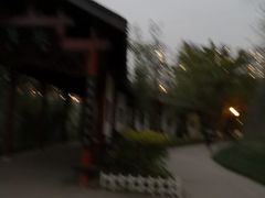 -重庆彩云湖湿地公园