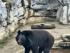 -黔灵山公园